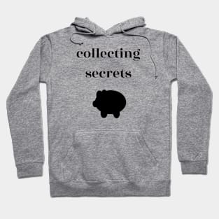 Collecting Secrets Hoodie